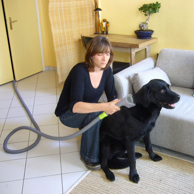 Maxi kit de toilettage avec effileur Jappyland 