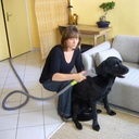 Maxi kit de toilettage avec effileur Jappyland 